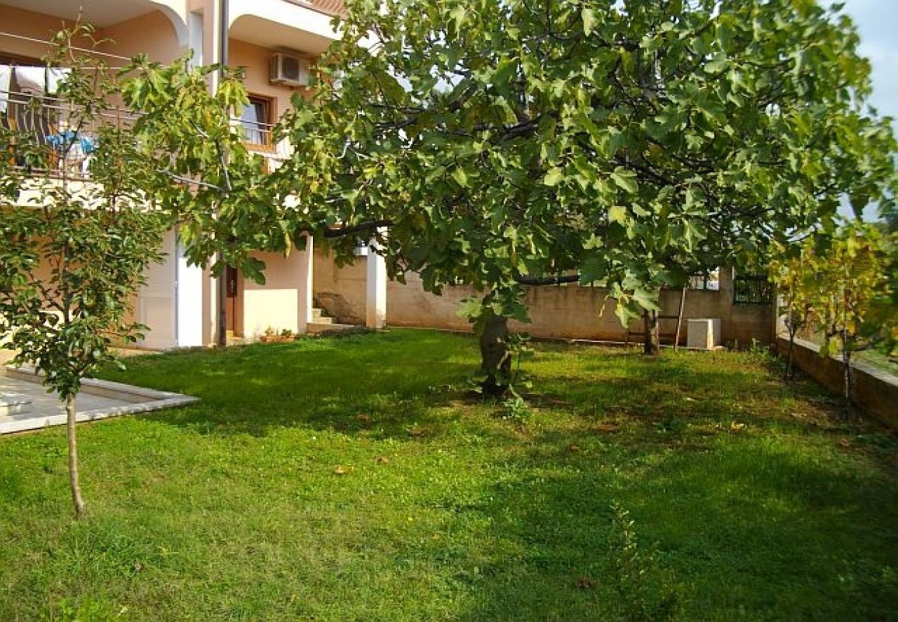 Estudio en Porec - Apartamento Estudio en Poreč con Balcón, Acondicionador, WIFI (3794-6)