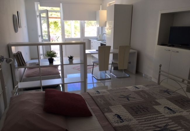 Estudio en Povlja - Apartamento Estudio en Povlja con Seaview, Terraza, Acondicionador, WIFI (3419-4) Estudio en Povlja - Apartamento Estudio en Povlja con Seaview, Terraza, Acondicionador, WIFI (3419-4)