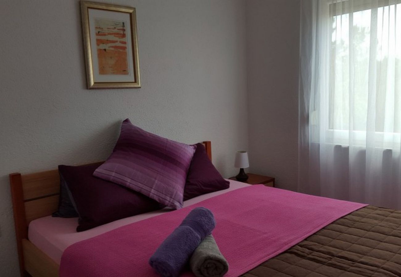 Apartamento en Nin - Apartamento en Zaton (Zadar) con Terraza, Acondicionador, WIFI, Lavadora (4141-2)