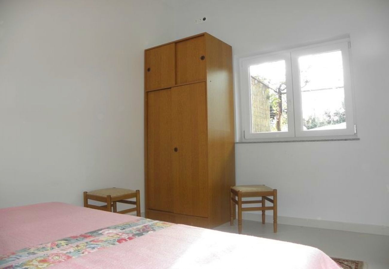 Apartamento en Duce - Apartamento en Duće con Terraza, Acondicionador, WIFI, Lavadora (4166-6)