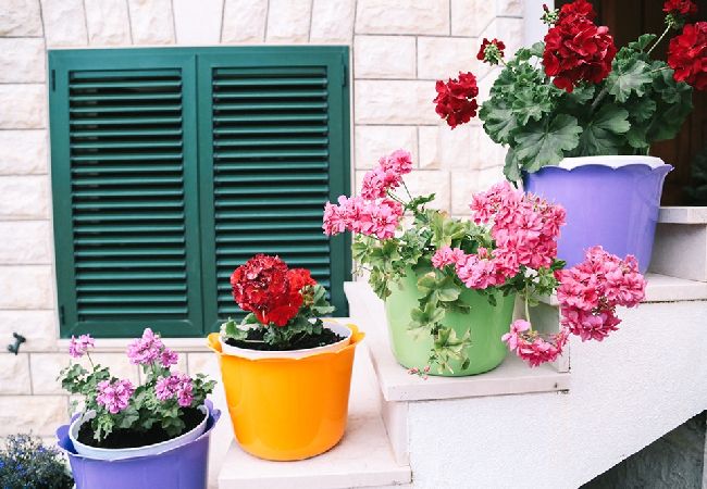 Estudio en Duce - Apartamento Estudio en Duće con Seaview, Terraza, Acondicionador, WIFI (4167-2) Estudio en Duce - Apartamento Estudio en Duće con Seaview, Terraza, Acondicionador, WIFI (4167-2)