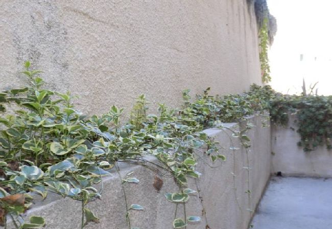 Apartamento en Duce - Apartamento en Duće con Terraza, Acondicionador, WIFI, Lavadora (4173-4) Apartamento en Duce - Apartamento en Duće con Terraza, Acondicionador, WIFI, Lavadora (4173-4)