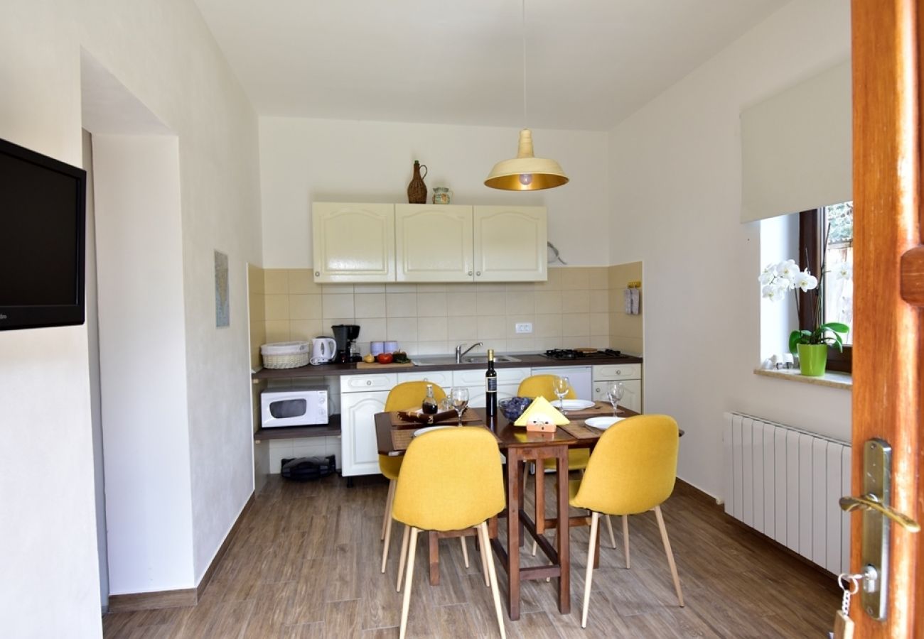 Apartamento en Roc - Apartamento en Roč con Terraza, Acondicionador, WIFI, Lavadora (4194-2)