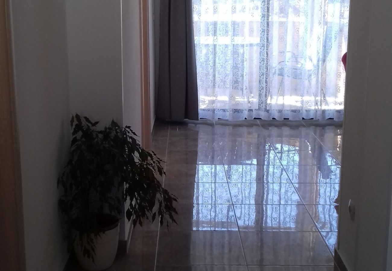 Apartamento en Murter - Apartamento en Murter con Terraza, Acondicionador, WIFI, Lavadora (125-4)