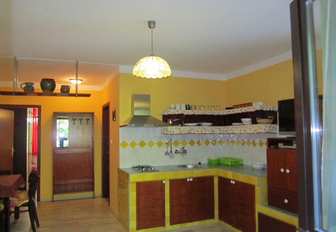 Apartamento en Mali Lošinj - Apartamento en Mali Lošinj con Terraza, Acondicionador, WIFI, Lavadora (4241-1)