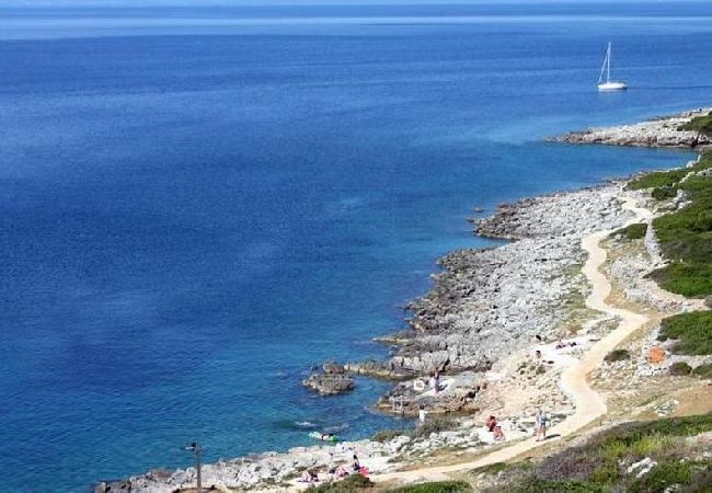 Apartamento en Mali Lošinj - Apartamento en Mali Lošinj con Terraza, Acondicionador, WIFI, Lavadora (4241-2) Apartamento en Mali Lošinj - Apartamento en Mali Lošinj con Terraza, Acondicionador, WIFI, Lavadora (4241-2)