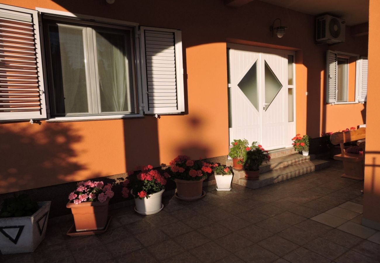 Apartamento en Biograd na moru - Apartamento en Biograd na Moru con Terraza, Acondicionador, WIFI, Lavavajillas (4269-1)