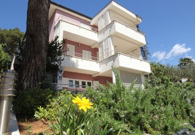 Rovinj - Apartamento