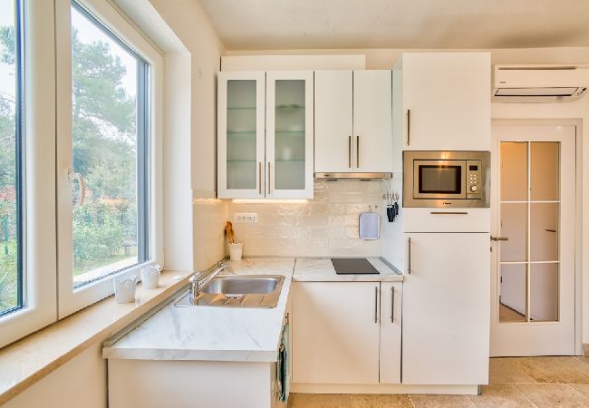Apartamento en Rovinj - Apartamento en Rovinj con Terraza, Acondicionador, WIFI, Lavavajillas (4286-1) Apartamento en Rovinj - Apartamento en Rovinj con Terraza, Acondicionador, WIFI, Lavavajillas (4286-1)