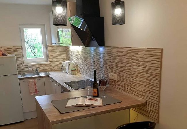 Apartamento en Supetarska Draga - Apartamento en Supetarska Draga con Seaview, Balcón, Acondicionador, WIFI (4325-3) Apartamento en Supetarska Draga - Apartamento en Supetarska Draga con Seaview, Balcón, Acondicionador, WIFI (4325-3)