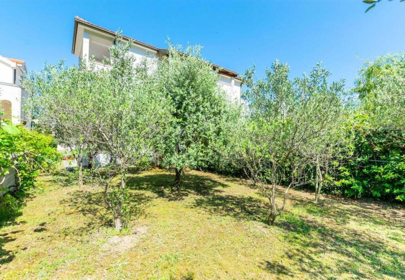 Apartamento en Lopar - Apartamento en Lopar con Seaview, Balcón, Acondicionador, WIFI (4419-3)
