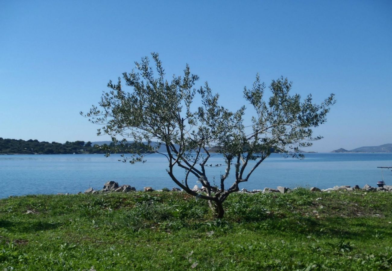 Casa en Okrug Gornji - Casa Robinson en Okrug Gornji con Seaview, Terraza (4452-1)