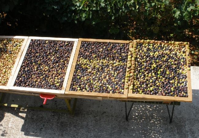 Casa en Vodice - Casa de vacaciones en Vodice con Terraza, Acondicionador, WIFI (4449-1) Casa en Vodice - Casa de vacaciones en Vodice con Terraza, Acondicionador, WIFI (4449-1)