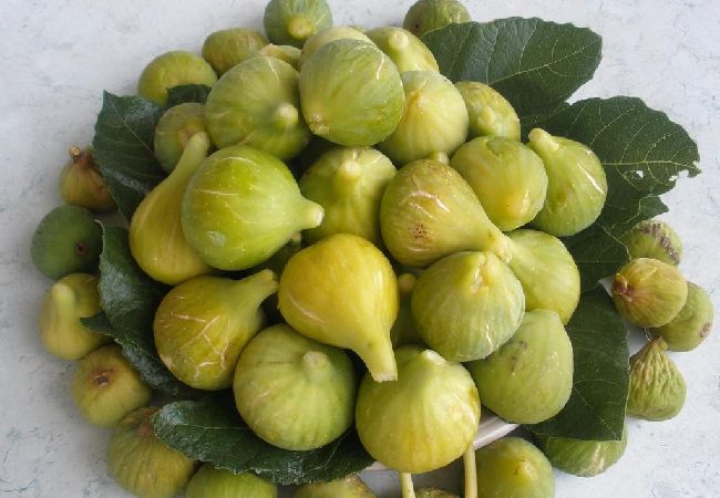 Casa en Vodice - Casa de vacaciones en Vodice con Terraza, Acondicionador, WIFI (4449-1) Casa en Vodice - Casa de vacaciones en Vodice con Terraza, Acondicionador, WIFI (4449-1)