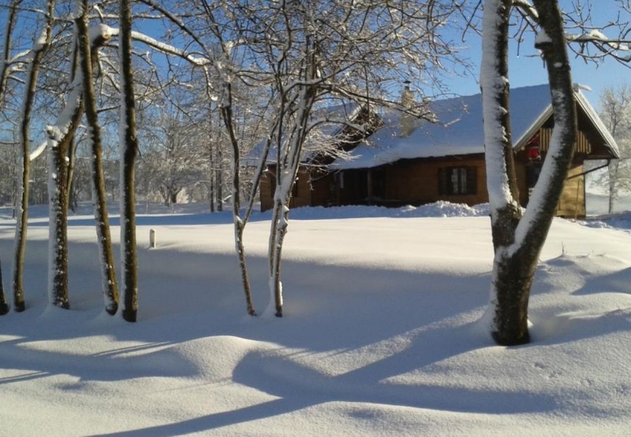 Casa en Rakovica - Casa de vacaciones en Rakovica con Terraza, WIFI, Lavadora (4488-1)