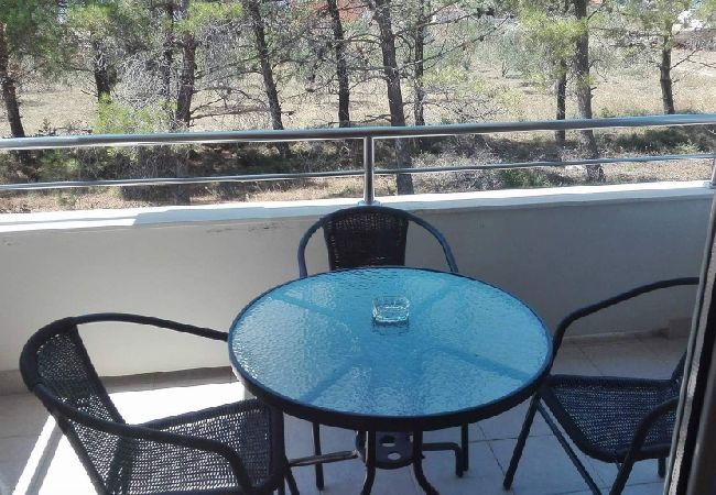 Apartamento en Vrsi - Apartamento en Vrsi con Balcón, Acondicionador, WIFI (4494-2) Apartamento en Vrsi - Apartamento en Vrsi con Balcón, Acondicionador, WIFI (4494-2)