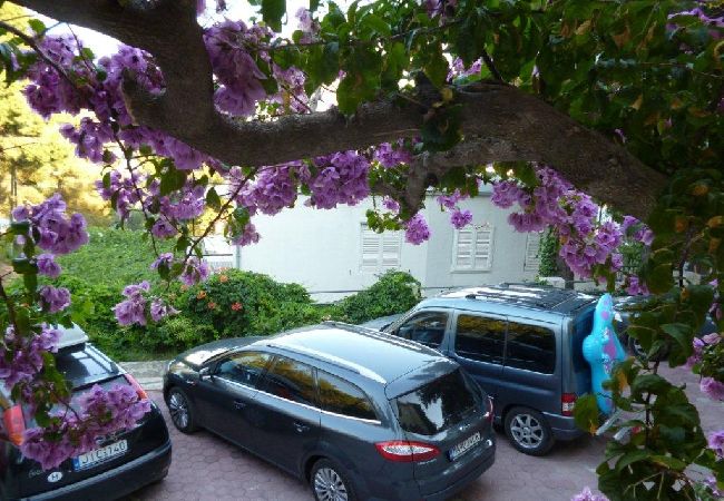 Apartamento en Duce - Apartamento en Duće con Seaview, Terraza, Acondicionador, WIFI (132-9) Apartamento en Duce - Apartamento en Duće con Seaview, Terraza, Acondicionador, WIFI (132-9)