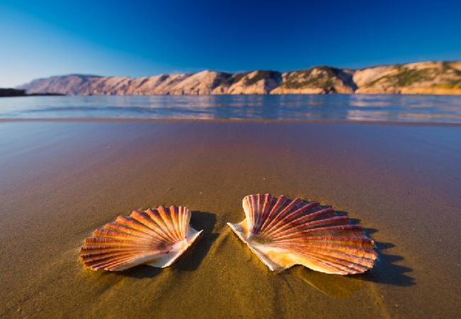 Apartamento en Supetarska Draga - Apartamento en Supetarska Draga con Seaview, Terraza, Acondicionador, WIFI (4552-6) Apartamento en Supetarska Draga - Apartamento en Supetarska Draga con Seaview, Terraza, Acondicionador, WIFI (4552-6)