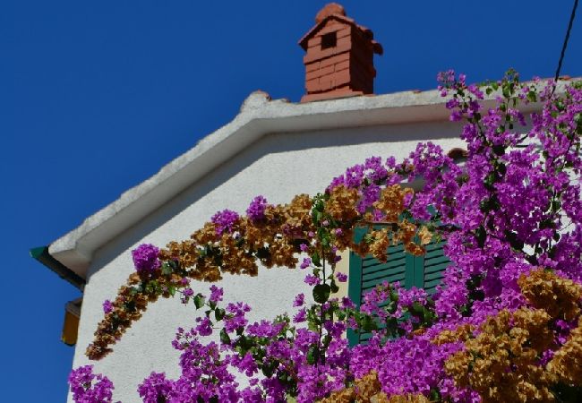 Apartamento en Supetarska Draga - Apartamento en Supetarska Draga con Seaview, Terraza, Acondicionador, WIFI (4552-8) Apartamento en Supetarska Draga - Apartamento en Supetarska Draga con Seaview, Terraza, Acondicionador, WIFI (4552-8)