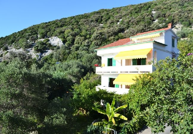 Supetarska Draga - Apartamento