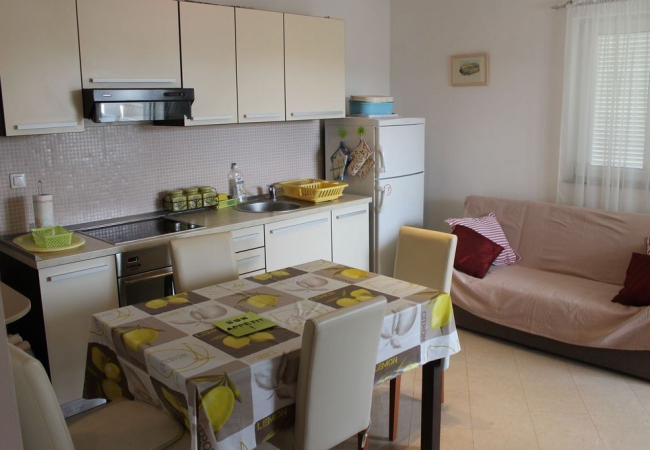 Apartamento en Ždrelac - Apartamento en Ždrelac con Seaview, Balcón, Acondicionador, WIFI (4561-1)