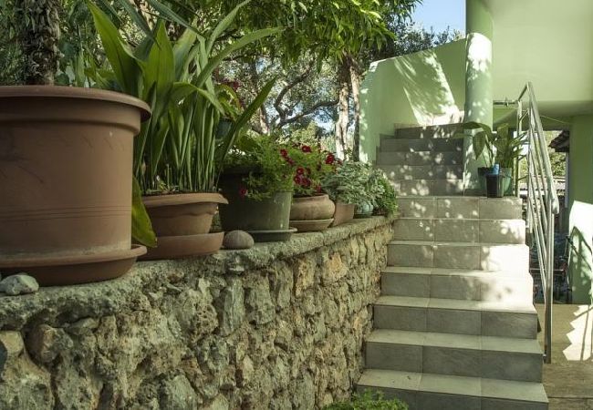 Apartamento en Ždrelac - Apartamento en Ždrelac con Seaview, Loggia, Acondicionador, WIFI (4565-1) Apartamento en Ždrelac - Apartamento en Ždrelac con Seaview, Loggia, Acondicionador, WIFI (4565-1)