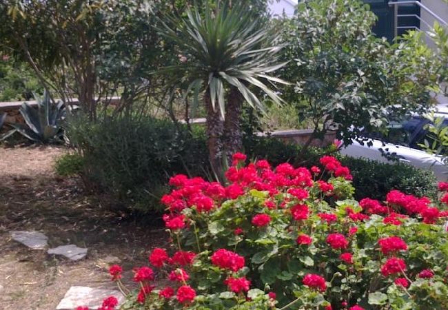 Apartamento en Ždrelac - Apartamento en Ždrelac con Seaview, Loggia, Acondicionador, WIFI (4565-1) Apartamento en Ždrelac - Apartamento en Ždrelac con Seaview, Loggia, Acondicionador, WIFI (4565-1)