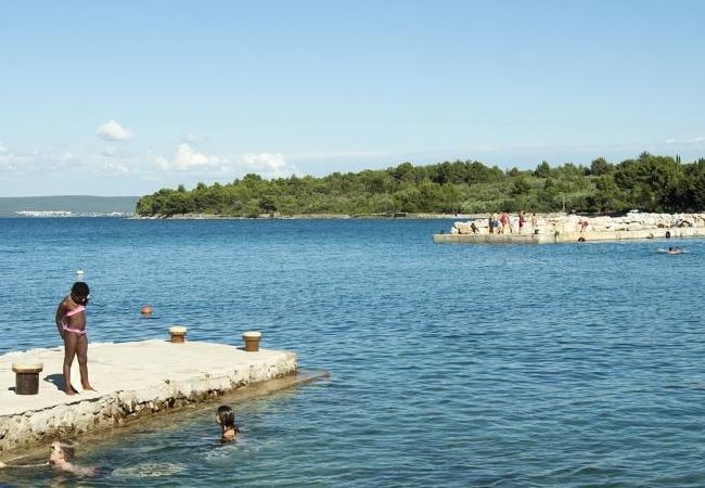 Apartamento en Ždrelac - Apartamento en Ždrelac con Seaview, Loggia, Acondicionador, WIFI (4565-1) Apartamento en Ždrelac - Apartamento en Ždrelac con Seaview, Loggia, Acondicionador, WIFI (4565-1)