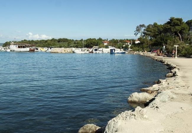 Apartamento en Ždrelac - Apartamento en Ždrelac con Seaview, Loggia, Acondicionador, WIFI (4565-1) Apartamento en Ždrelac - Apartamento en Ždrelac con Seaview, Loggia, Acondicionador, WIFI (4565-1)