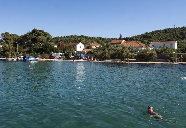 Apartamento en Ždrelac - Apartamento en Ždrelac con Seaview, Loggia, Acondicionador, WIFI (4565-2) Apartamento en Ždrelac - Apartamento en Ždrelac con Seaview, Loggia, Acondicionador, WIFI (4565-2)