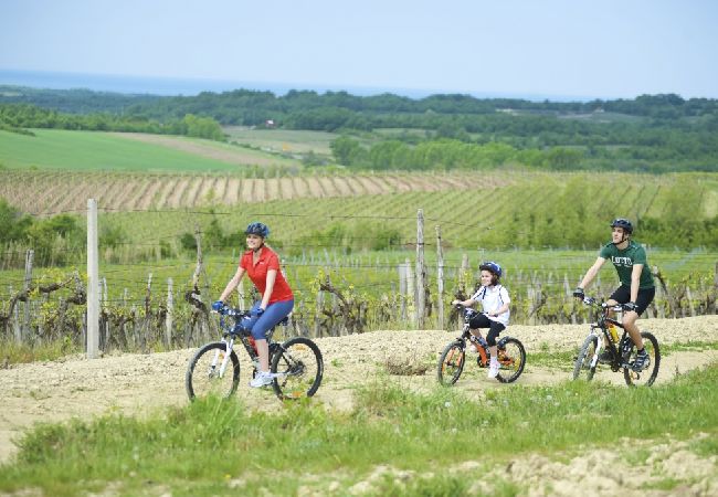 Apartamento en Savudrija - Apartamento en Savudrija con Terraza, Acondicionador, WIFI (4577-2) Apartamento en Savudrija - Apartamento en Savudrija con Terraza, Acondicionador, WIFI (4577-2)