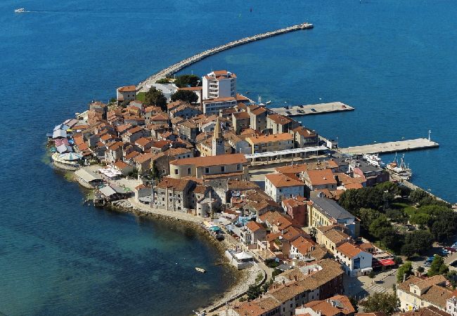 Apartamento en Savudrija - Apartamento en Savudrija con Terraza, Acondicionador, WIFI (4577-2) Apartamento en Savudrija - Apartamento en Savudrija con Terraza, Acondicionador, WIFI (4577-2)