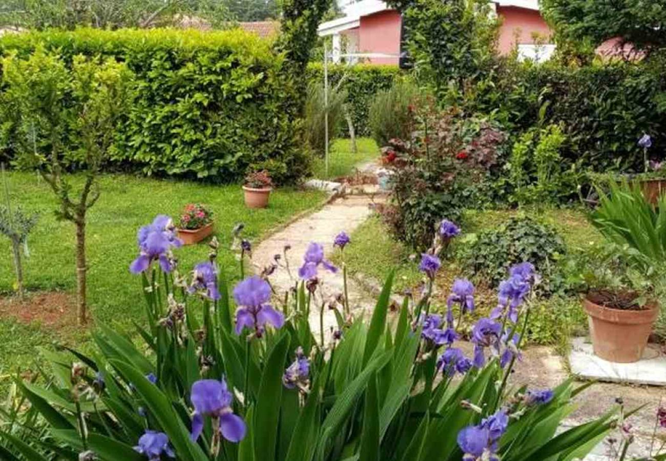 Apartamento en Savudrija - Apartamento en Savudrija con Terraza, Acondicionador, WIFI (4577-2)