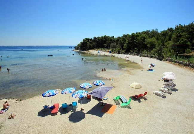 Apartamento en Vir - Apartamento en Vir con Balcón, Acondicionador, WIFI (4595-1) Apartamento en Vir - Apartamento en Vir con Balcón, Acondicionador, WIFI (4595-1)