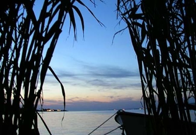 Apartamento en Nevidane - Apartamento en Neviđane con Seaview, Balcón, Acondicionador, WIFI (4663-3) Apartamento en Nevidane - Apartamento en Neviđane con Seaview, Balcón, Acondicionador, WIFI (4663-3)