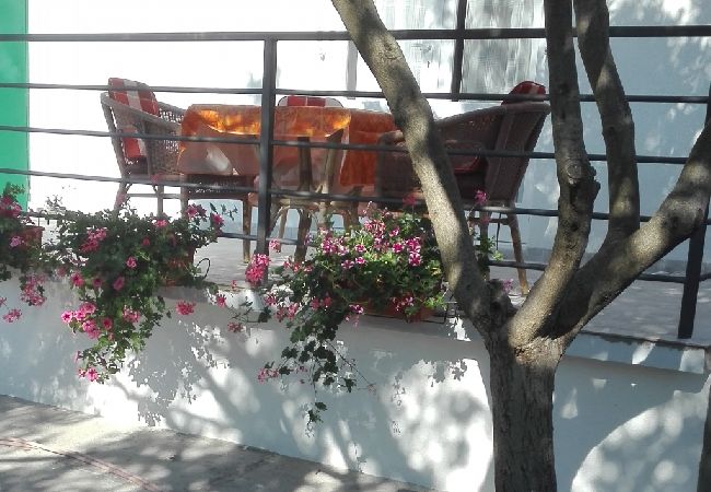 Apartamento en Šibenik-Brodarica - Apartamento en Brodarica con Balcón, Acondicionador, WIFI, Lavadora (4731-1) Apartamento en Šibenik-Brodarica - Apartamento en Brodarica con Balcón, Acondicionador, WIFI, Lavadora (4731-1)