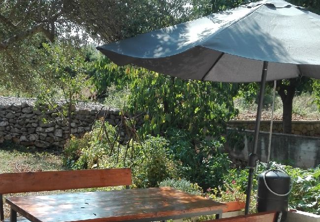 Apartamento en Šibenik-Brodarica - Apartamento en Brodarica con Balcón, Acondicionador, WIFI, Lavadora (4731-1) Apartamento en Šibenik-Brodarica - Apartamento en Brodarica con Balcón, Acondicionador, WIFI, Lavadora (4731-1)