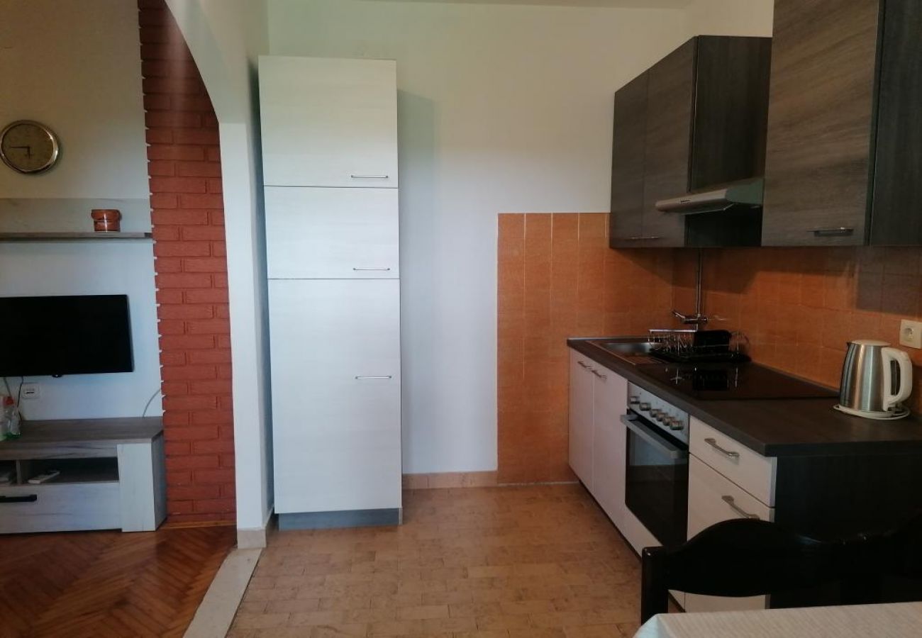 Apartamento en Biograd na moru - Apartamento en Biograd na Moru con Terraza, Acondicionador, WIFI (4801-1)