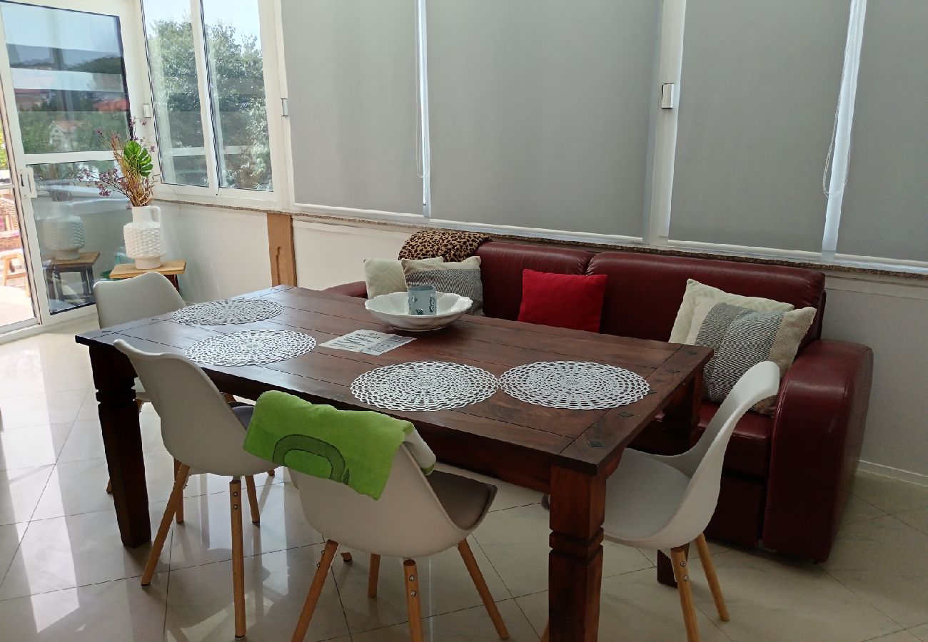 Apartamento en Biograd na moru - Apartamento en Biograd na Moru con Terraza, Acondicionador, WIFI, Lavavajillas (4818-1)