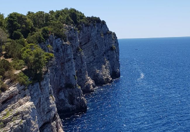 Apartamento en Vrsi - Apartamento en Vrsi con Terraza, Acondicionador, WIFI, Lavadora (4836-1) Apartamento en Vrsi - Apartamento en Vrsi con Terraza, Acondicionador, WIFI, Lavadora (4836-1)