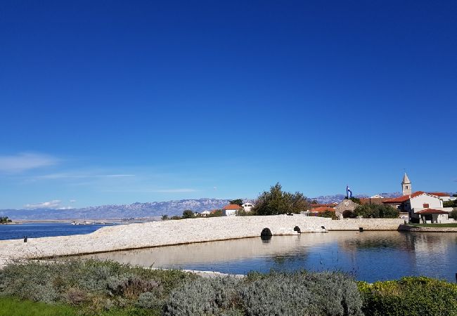 Apartamento en Vrsi - Apartamento en Vrsi con Terraza, Acondicionador, WIFI, Lavadora (4836-1) Apartamento en Vrsi - Apartamento en Vrsi con Terraza, Acondicionador, WIFI, Lavadora (4836-1)