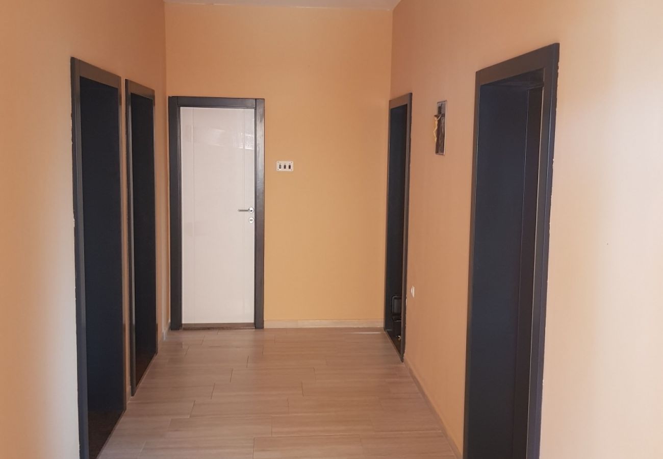 Apartamento en Vrsi - Apartamento en Vrsi con Terraza, Acondicionador, WIFI, Lavadora (4836-1)