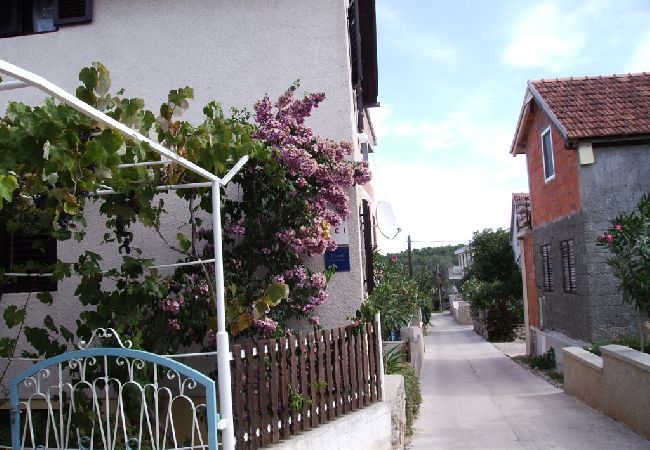 Apartamento en Ždrelac - Apartamento en Ždrelac con Balcón, Acondicionador, WIFI, Lavadora (4834-1) Apartamento en Ždrelac - Apartamento en Ždrelac con Balcón, Acondicionador, WIFI, Lavadora (4834-1)
