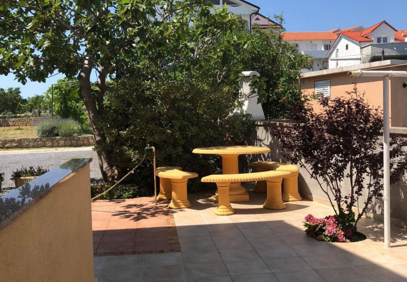 Apartamento en Lopar - Apartamento en Lopar con Seaview, Terraza, Acondicionador, WIFI (4842-2)