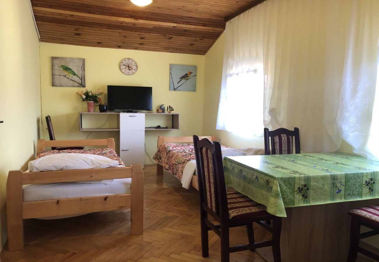 Apartamento en Ždrelac - Apartamento en Ždrelac con Balcón, Acondicionador, WIFI, Lavadora (4834-2)