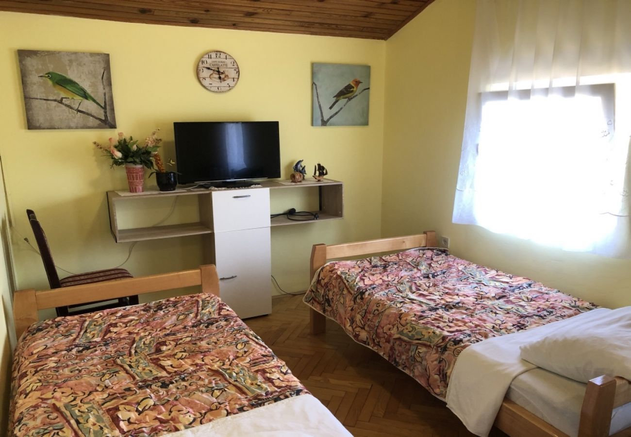 Apartamento en Ždrelac - Apartamento en Ždrelac con Balcón, Acondicionador, WIFI, Lavadora (4834-2)