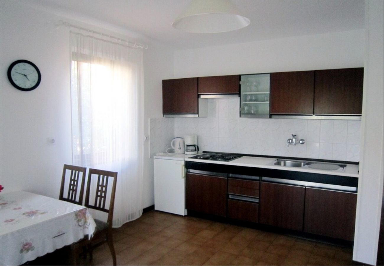 Apartamento en Novigrad - Apartamento en Novigrad con Balcón, Acondicionador (4833-1)