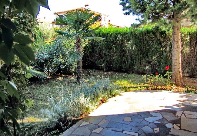 Apartamento en Novigrad - Apartamento en Novigrad con Balcón, Acondicionador (4833-2) Apartamento en Novigrad - Apartamento en Novigrad con Balcón, Acondicionador (4833-2)