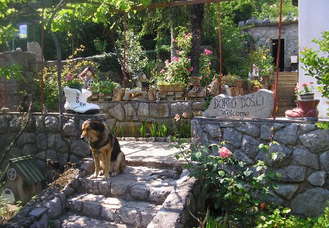 Apartamento en Icici - Apartamento en Ičići con Seaview, Terraza, WIFI (4870-1) Apartamento en Icici - Apartamento en Ičići con Seaview, Terraza, WIFI (4870-1)