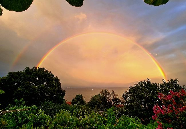 Apartamento en Icici - Apartamento en Ičići con Seaview, Terraza, WIFI (4870-3) Apartamento en Icici - Apartamento en Ičići con Seaview, Terraza, WIFI (4870-3)